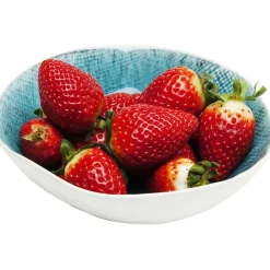 Bol Mustique Ø17cm
