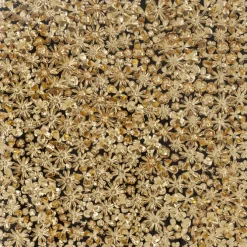 Cadre décoratif Gold Flower 120x120cm