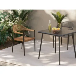 Chaise a. acc. Palma gris