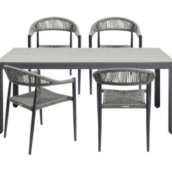 Chaise a. acc. Palma gris