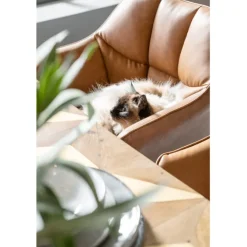 Chaise a. acc. Thinktank marron