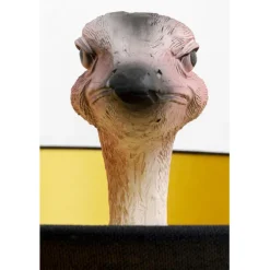 Lampadaire Animal Ostrich 147cm
