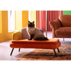 Lit pour chien/chat Diva orange