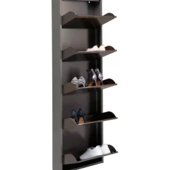 Meuble à chaussures Caruso 5 argenté (Mailorder)