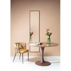 Miroir Bella MO 30x180cm