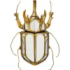 Objet mural Beetle miroir 25x39cm