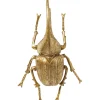 Objet mural Herkules Beetle doré