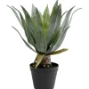 Plante décorative Agave 40cm
