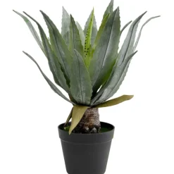 Plante décorative Agave 40cm