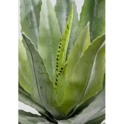 Plante décorative Agave 40cm