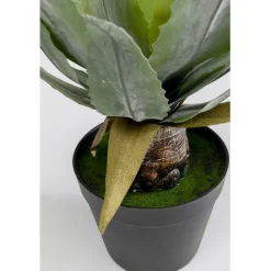 Plante décorative Agave 40cm