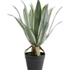 Plante décorative Agave 50cm