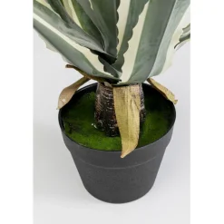 Plante décorative Agave 50cm