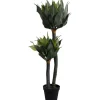 Plante décorative Agave 120cm