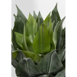 Plante décorative Agave 120cm