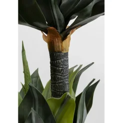Plante décorative Agave 120cm