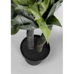Plante décorative Agave 120cm