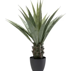 Plante décorative Agave 85cm