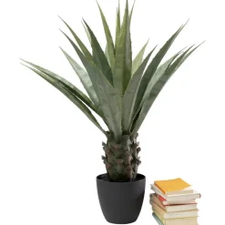 Plante décorative Agave 85cm