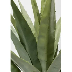 Plante décorative Agave 85cm