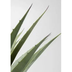 Plante décorative Agave 85cm