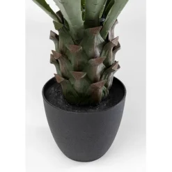 Plante décorative Agave 85cm