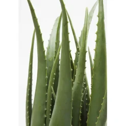 Plante décorative Aloe 69cm