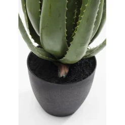Plante décorative Aloe 69cm