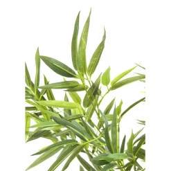 Plante décorative Bamboo Tree 200cm