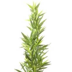 Plante décorative Bamboo Tree 200cm