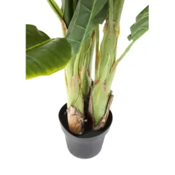 Plante décorative Banana Tree 180cm