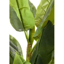Plante décorative Banana Tree 180cm