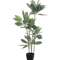 Plante décorative Calathea 140cm