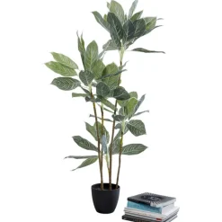 Plante décorative Calathea 140cm