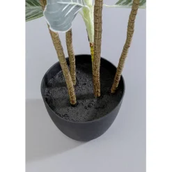 Plante décorative Calathea 140cm