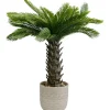 Plante décorative Cycas 70cm