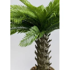 Plante décorative Cycas 70cm