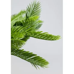 Plante décorative Cycas 70cm
