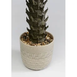 Plante décorative Cycas 70cm