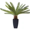Plante décorative Cycas Tree 78cm