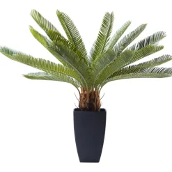 Plante décorative Cycas Tree 78cm