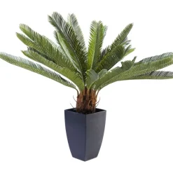 Plante décorative Cycas Tree 78cm
