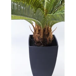 Plante décorative Cycas Tree 78cm
