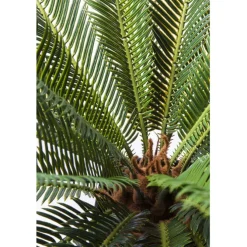 Plante décorative Cycas Tree 78cm