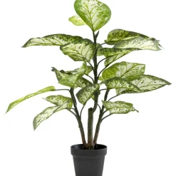 Plante décorative Dieffenbachie 100cm