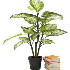 Plante décorative Dieffenbachie 100cm