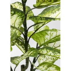 Plante décorative Dieffenbachie 100cm