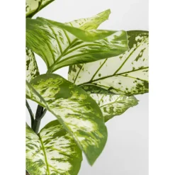 Plante décorative Dieffenbachie 100cm