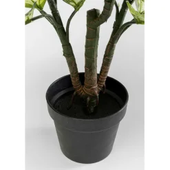 Plante décorative Dieffenbachie 100cm