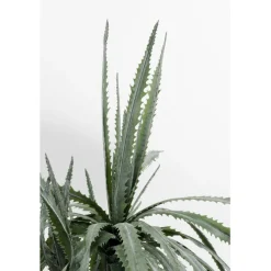 Plante décorative Dragon Tree 155cm